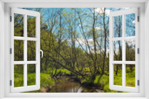 Fototapeta Naklejka Na Ścianę Okno 3D - Typical Belarussian nature view: green forest, a small river flowing through the trees, warm pleasant weather: sun blue sky.