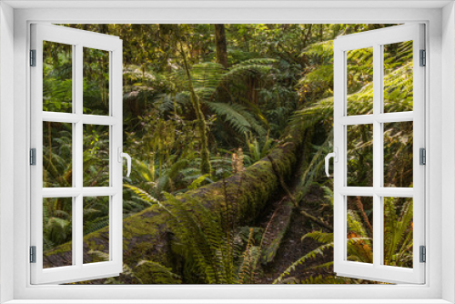 Fototapeta Naklejka Na Ścianę Okno 3D - The beautiful landscape of the southern island of New Zealand is a mountain range of lake forests.
