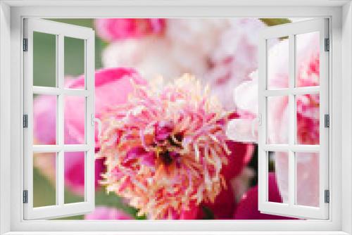 Fototapeta Naklejka Na Ścianę Okno 3D - Bouquet of peonies. Bouquet of beautiful flowers. Beautiful peonies.