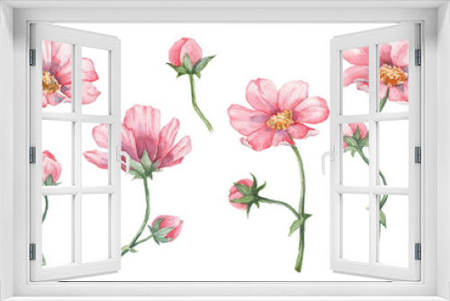 Fototapeta Naklejka Na Ścianę Okno 3D - Collection of hand painted watercolor pink flowers
