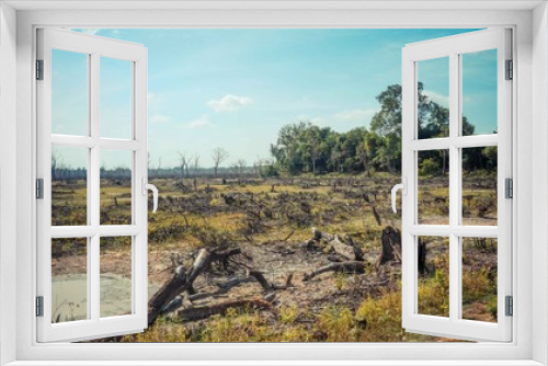 Fototapeta Naklejka Na Ścianę Okno 3D - Some of dead and dry trees landscape