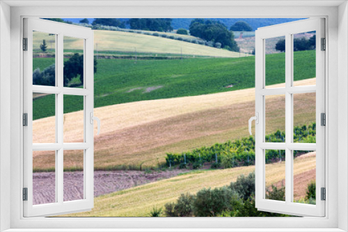 Fototapeta Naklejka Na Ścianę Okno 3D - Provincia di Ancona, Marche. Paesaggio rurale a primavera