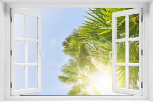 Fototapeta Naklejka Na Ścianę Okno 3D - Summer background with palm