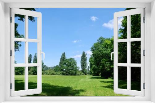 Fototapeta Naklejka Na Ścianę Okno 3D - Wiesenlandschaft