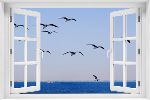 Fototapeta Naklejka Na Ścianę Okno 3D - a flock of seagulls flies over the sea, a boat floats in the distance