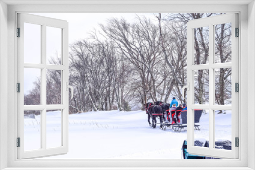 Fototapeta Naklejka Na Ścianę Okno 3D - sled in snow