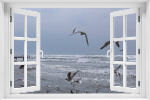 Fototapeta Naklejka Na Ścianę Okno 3D - Seagulls at a beach