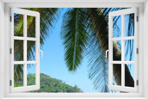 Fototapeta Naklejka Na Ścianę Okno 3D - Closeup Leaves Heaven