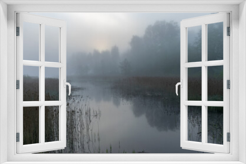 Fototapeta Naklejka Na Ścianę Okno 3D - landscape with fog in the morning, mystical fog on the river, blurred grass and tree contours
