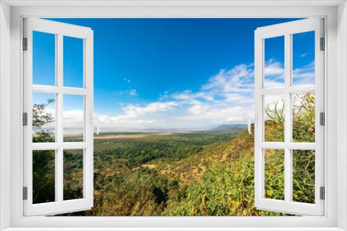 Fototapeta Naklejka Na Ścianę Okno 3D - 眼下に広がるタンザニアの原風景、広大な森と快晴の青空