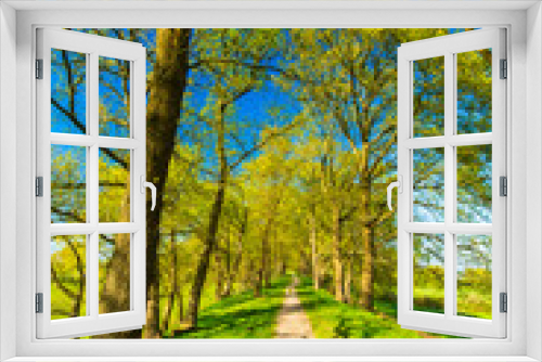 Fototapeta Naklejka Na Ścianę Okno 3D - Wanderweg durch grüne Bäume