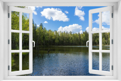 Fototapeta Naklejka Na Ścianę Okno 3D - View of the forest lake, the system of Blue Lakes in Belarus