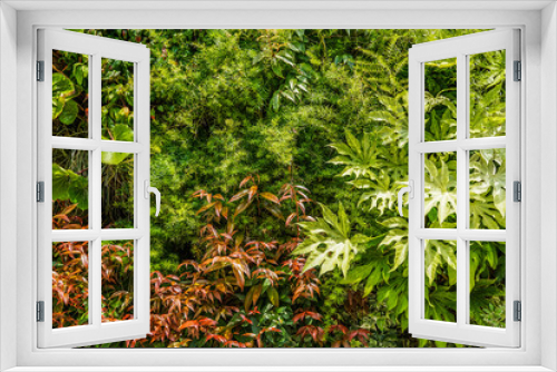 Fototapeta Naklejka Na Ścianę Okno 3D - 緑の背景