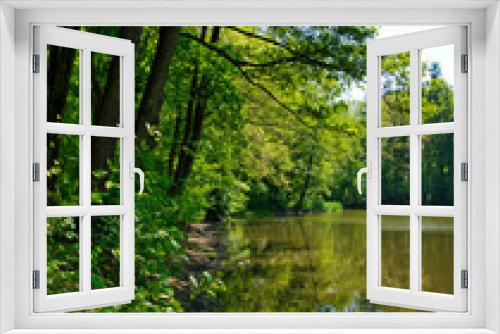 Fototapeta Naklejka Na Ścianę Okno 3D - Widok na jezioro w lesie. Wiosna