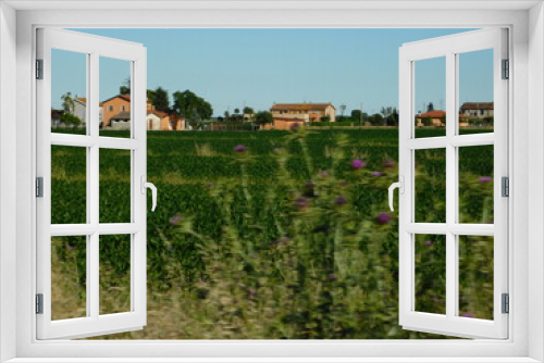Fototapeta Naklejka Na Ścianę Okno 3D - paesaggio di campagna in maggio