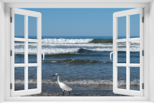 Fototapeta Naklejka Na Ścianę Okno 3D - Great egret walking on the beach in California