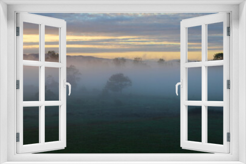 Fototapeta Naklejka Na Ścianę Okno 3D - New Zealand, Neuseeland, North Island, Nordinsel, Te Kauwhata, Nebel, Fog, Mist