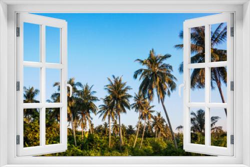 Fototapeta Naklejka Na Ścianę Okno 3D - Isolated coconut tree view with blue background