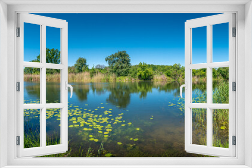 Fototapeta Naklejka Na Ścianę Okno 3D - Panoramic view over a pond near Elbe river with water lilies at sunny day and blue sky, Magdeburg, Germany