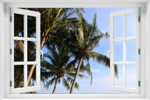 Fototapeta Naklejka Na Ścianę Okno 3D - coconut palm trees