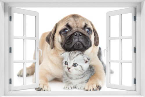 Fototapeta Naklejka Na Ścianę Okno 3D - Friendly pug puppy hugs tiny scottish kitten. isolated on white background