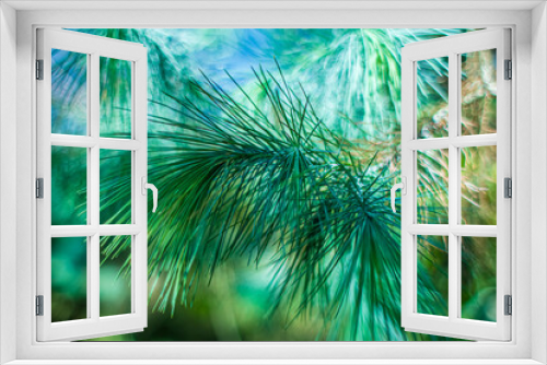 Fototapeta Naklejka Na Ścianę Okno 3D - Midday pine bush, Macro.