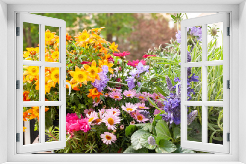 Fototapeta Naklejka Na Ścianę Okno 3D - Bunte Blumen, Balkon, Blume des Jahres