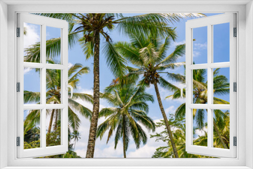 Fototapeta Naklejka Na Ścianę Okno 3D - Palmiers et ciel bleu
