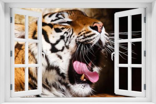 Fototapeta Naklejka Na Ścianę Okno 3D - Bengal tiger