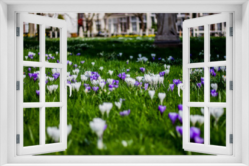 Fototapeta Naklejka Na Ścianę Okno 3D - spring flowers in the park