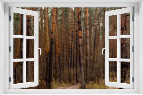 Fototapeta Naklejka Na Ścianę Okno 3D - A winding path in the autumn pine forest. Picturesque natural landscape. Vertical