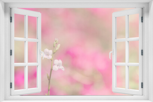Fototapeta Naklejka Na Ścianę Okno 3D - the flowers a color adjustment in soft style for background