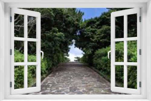 Fototapeta Naklejka Na Ścianę Okno 3D - 森の道