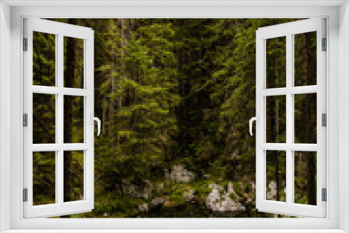 Fototapeta Naklejka Na Ścianę Okno 3D - in the woods