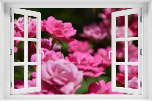 Fototapeta Naklejka Na Ścianę Okno 3D - Flores