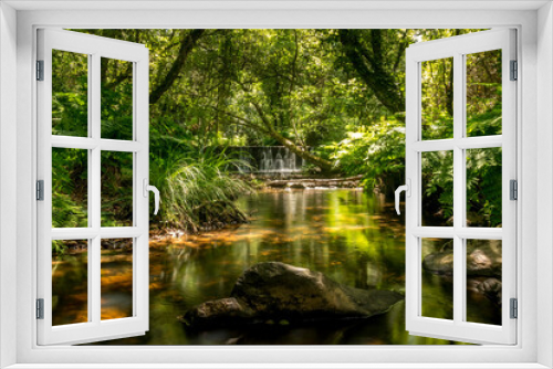 Fototapeta Naklejka Na Ścianę Okno 3D - Forest river with dense tropical vegetation and waterfalls