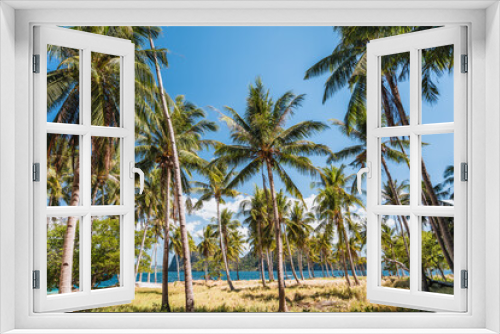 Fototapeta Naklejka Na Ścianę Okno 3D - Ipil beach with coconut palm trees, sandy beach and blue ocean in background. El Nido, Palawan, Philippines