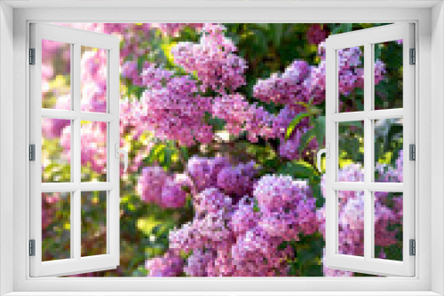Fototapeta Naklejka Na Ścianę Okno 3D - Spring blooming lilac tree flowers