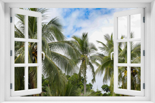 Fototapeta Naklejka Na Ścianę Okno 3D - Beach scene with palm trees and bright blue sky looking up in a tropical paradise