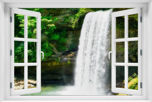 Fototapeta Naklejka Na Ścianę Okno 3D - Nature, landscape, waterfalls, cumberland plateau, TN, flower, trees