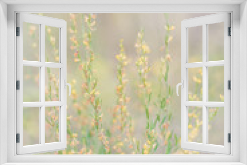 Fototapeta Naklejka Na Ścianę Okno 3D - wild flowers in spring