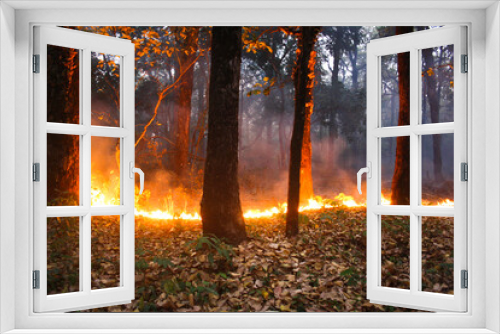 Fototapeta Naklejka Na Ścianę Okno 3D - Man Made fire for Burning Dry leaves in the forest