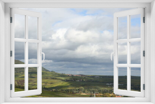 Fototapeta Naklejka Na Ścianę Okno 3D - Vineyard rhine valley palatine nice weather bule sky beautiful colors