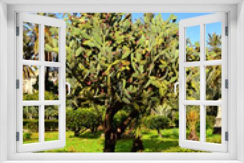 Fototapeta Naklejka Na Ścianę Okno 3D - View of Parco delle Favorita, Palermo, Sicily.