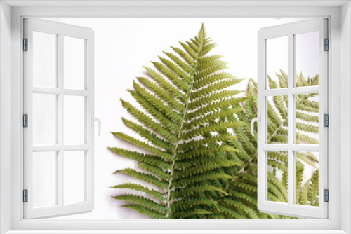 Fototapeta Naklejka Na Ścianę Okno 3D - minimalism style, fern leaf on paper background