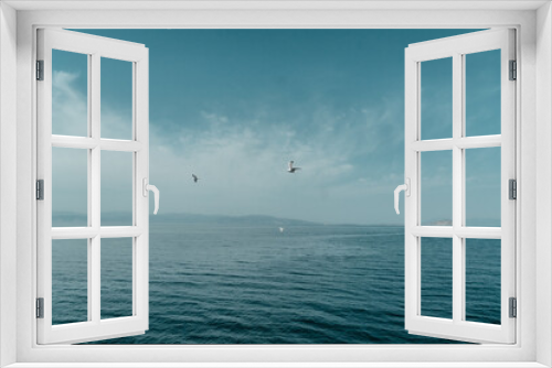 Fototapeta Naklejka Na Ścianę Okno 3D - Seagull in Adriatic Sea in Greece while ferry travel. Freedom, carefree, windy weather concept 