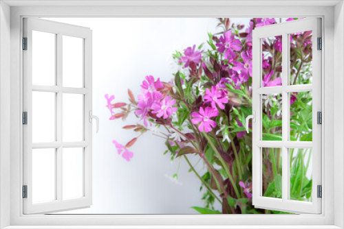 Fototapeta Naklejka Na Ścianę Okno 3D - isolated bouquet of meadow flowers on a white background.