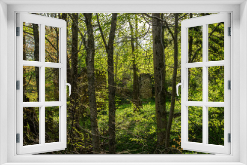 Fototapeta Naklejka Na Ścianę Okno 3D - ruiny cerkwi w miejscowości Hulskie - Bieszczady