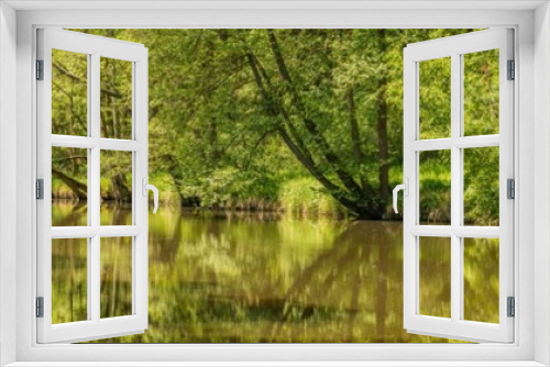 Fototapeta Naklejka Na Ścianę Okno 3D - panorama of calm river mirroring green shore with trees