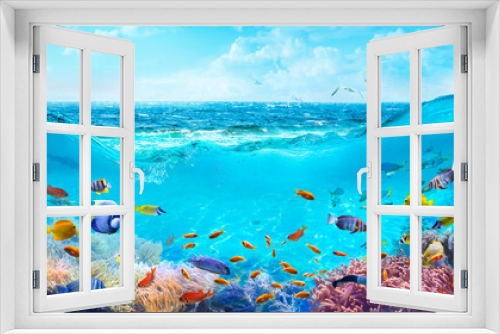 Fototapeta Naklejka Na Ścianę Okno 3D - Colorful tropical fish in coastal waters. Animals of the underwater sea world. Life in a coral reef. Ecosystem.